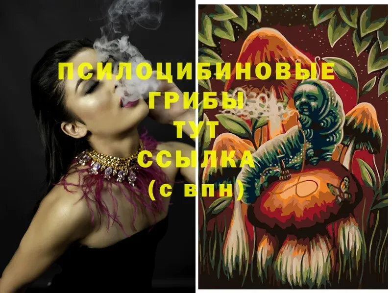 omg зеркало  Берёзовский  Псилоцибиновые грибы Magic Shrooms 